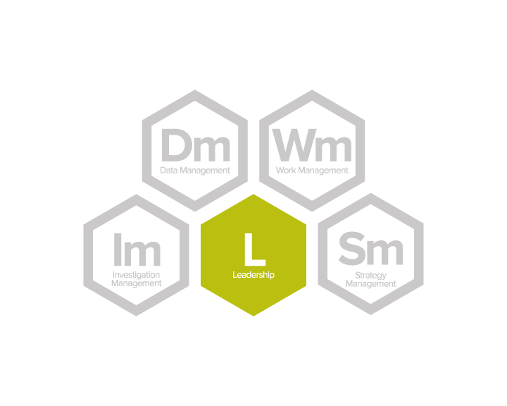 l-domain-01